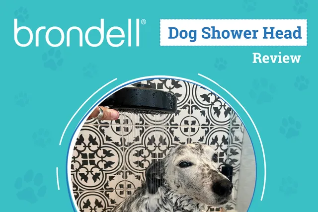 Brondell Nebia Merced Handheld Showerhead Review 2026: Our Expert’s Opinion