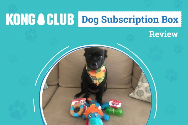 KONG Club Dog Subscription Box Review 2026: An Expert's Breakdown