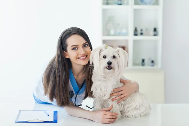 Seasonal Allergies in Dogs: Signs, Causes, Care & FAQ (Vet Answer)