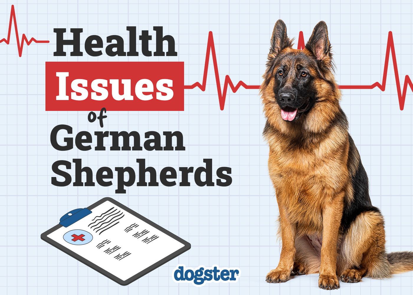 Dogster_Health Problems of German Shepherds