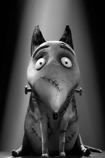 Sparky from the movie Frankenweenie