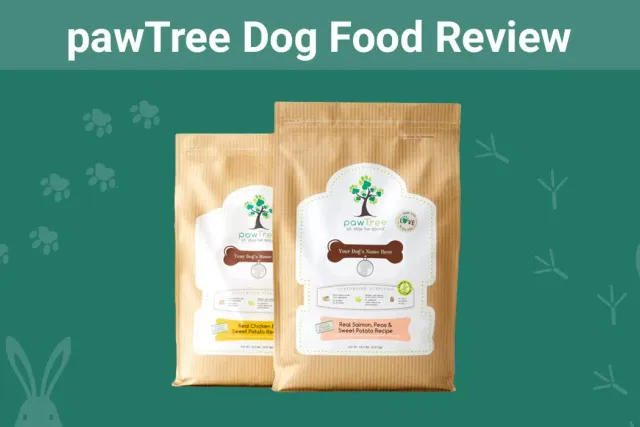 pawTree Dog Food & Treats Review 2026: An Expert's Breakdown
