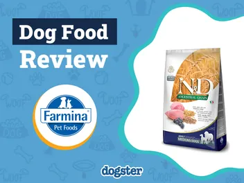 Farmina Dog Food Review 2026: Pros, Cons, Recalls & FAQ (Vet-Approved)