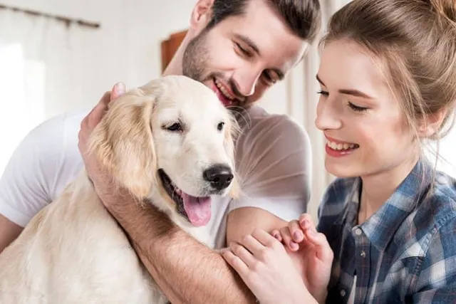 Can You Rent a Puppy? Pros, Cons & Alternatives
