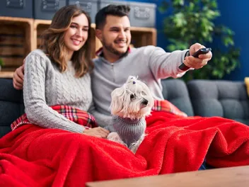 12 Dog Movies Based on True Stories: Inspiring Real Life Events