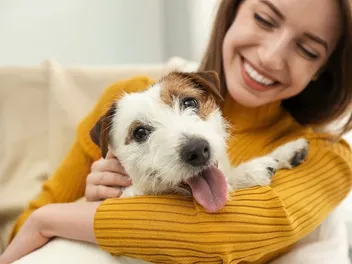 How Much Does It Cost to Own a Dog in the UK? Price Guide 2026