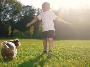 8 Vet-Reviewed Signs a Dog Will Attack a Baby & Tips to Prevent It