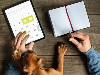 How to Make a Daily Dog Schedule: A Vet-Approved Routine for Your Pup