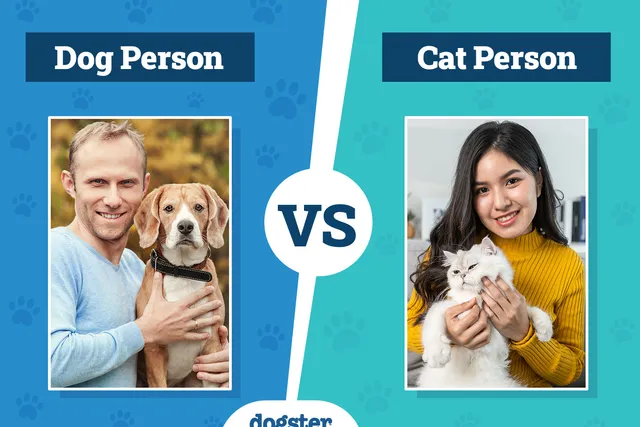 Dog Person vs Cat Person: Psychological Differences Explained