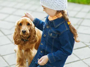 How Good Is a Cocker Spaniel With Kids? Vet-Verified Facts & FAQ