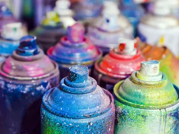 Spray Paint For Dogs: Is It Safe To Paint Your Dogs Fur? Vet Approved Advice