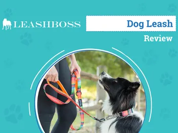 Leashboss Double Handle Reflective Dog Leash Review 2026: An Expert's Breakdown