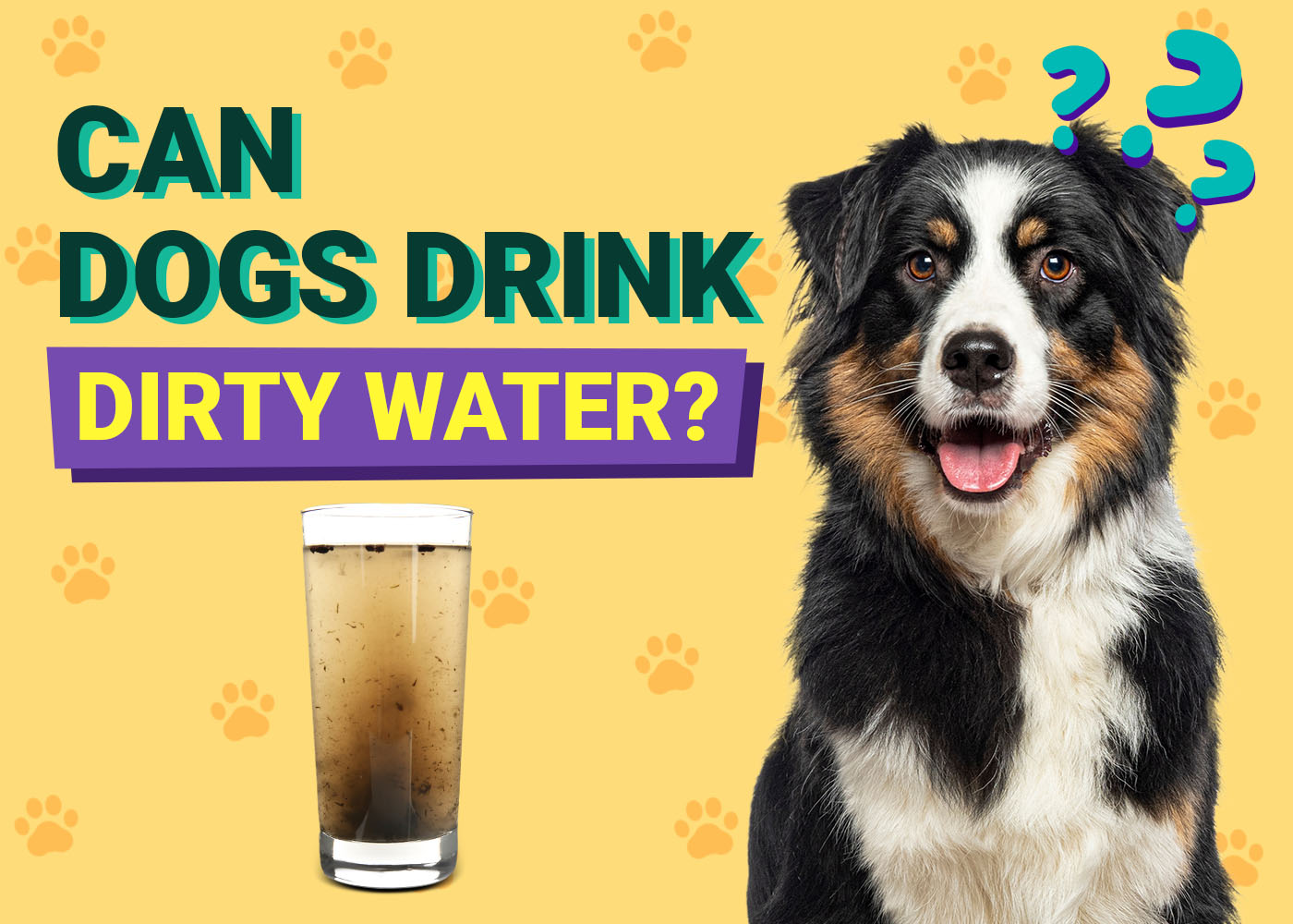 Can Drinking Dirty Water Cause a Bladder Infection in Dogs? Important Health Facts