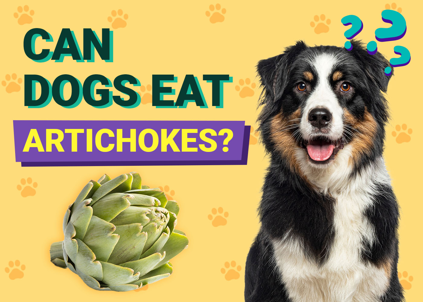 Can Dogs Eat Artichokes? Vet-Verified Nutrition Facts & FAQ