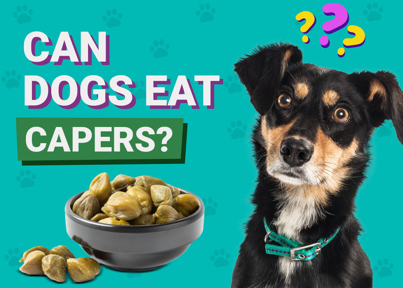 Can Dogs Eat Capers? Vet-Reviewed Nutrition Facts & FAQ