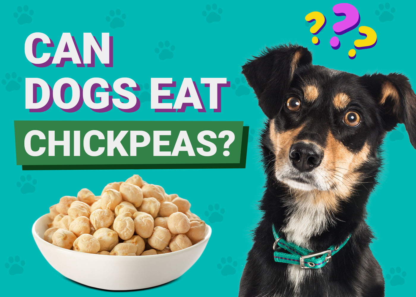 Can Dogs Eat Chickpeas? Vet-Verified Nutrition Facts & FAQ