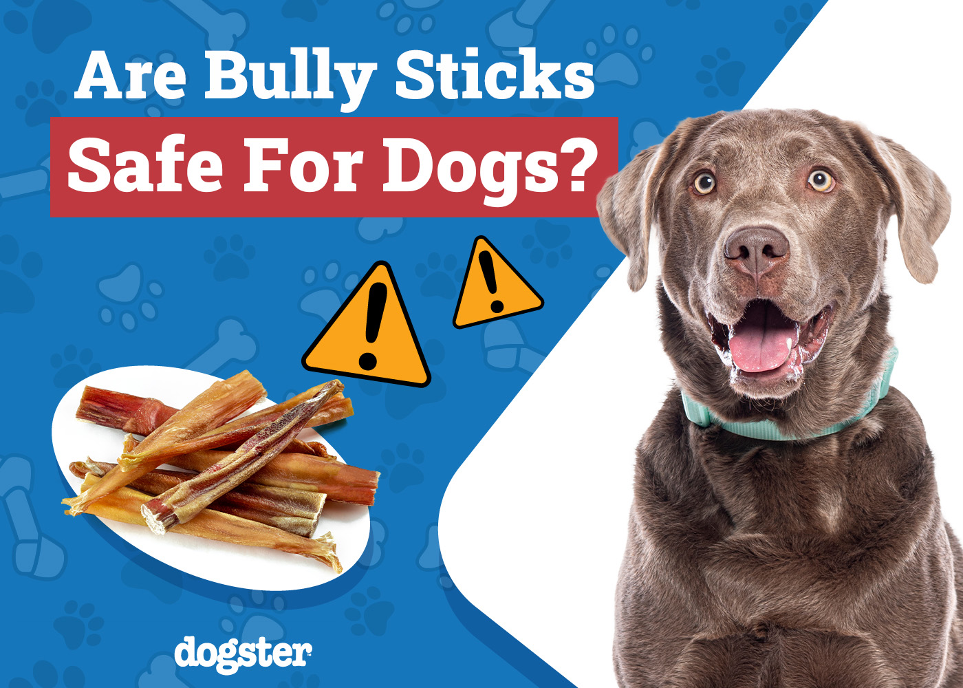 Are Bully Sticks Safe for Puppies? Vet-Reviewed Nutrition & Safety Facts