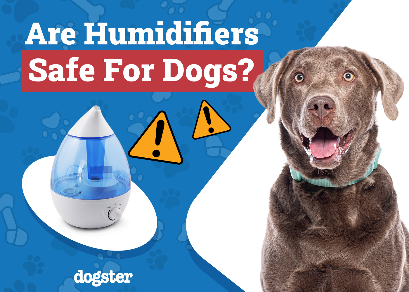 Are Humidifiers Safe for Dogs? Safety Concerns & Benefits