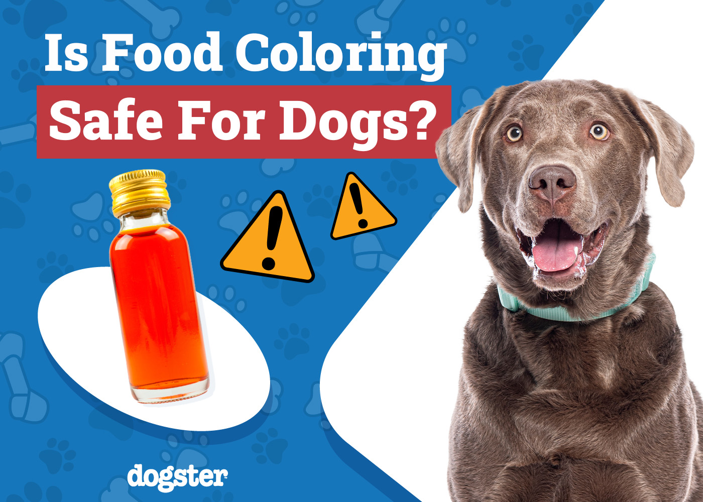 Is Food Coloring Safe for Dogs? Health Facts & FAQ
