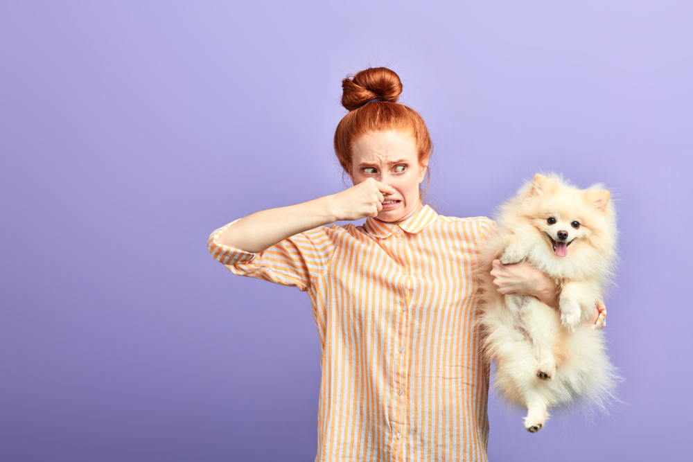 Why Does My Dog’s Skin Smell Bad and Itch? 6 Vet-Reviewed Reasons