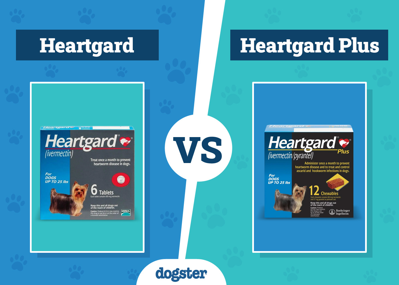 Heartgard vs. Heartgard Plus: Vet-Verified Differences?