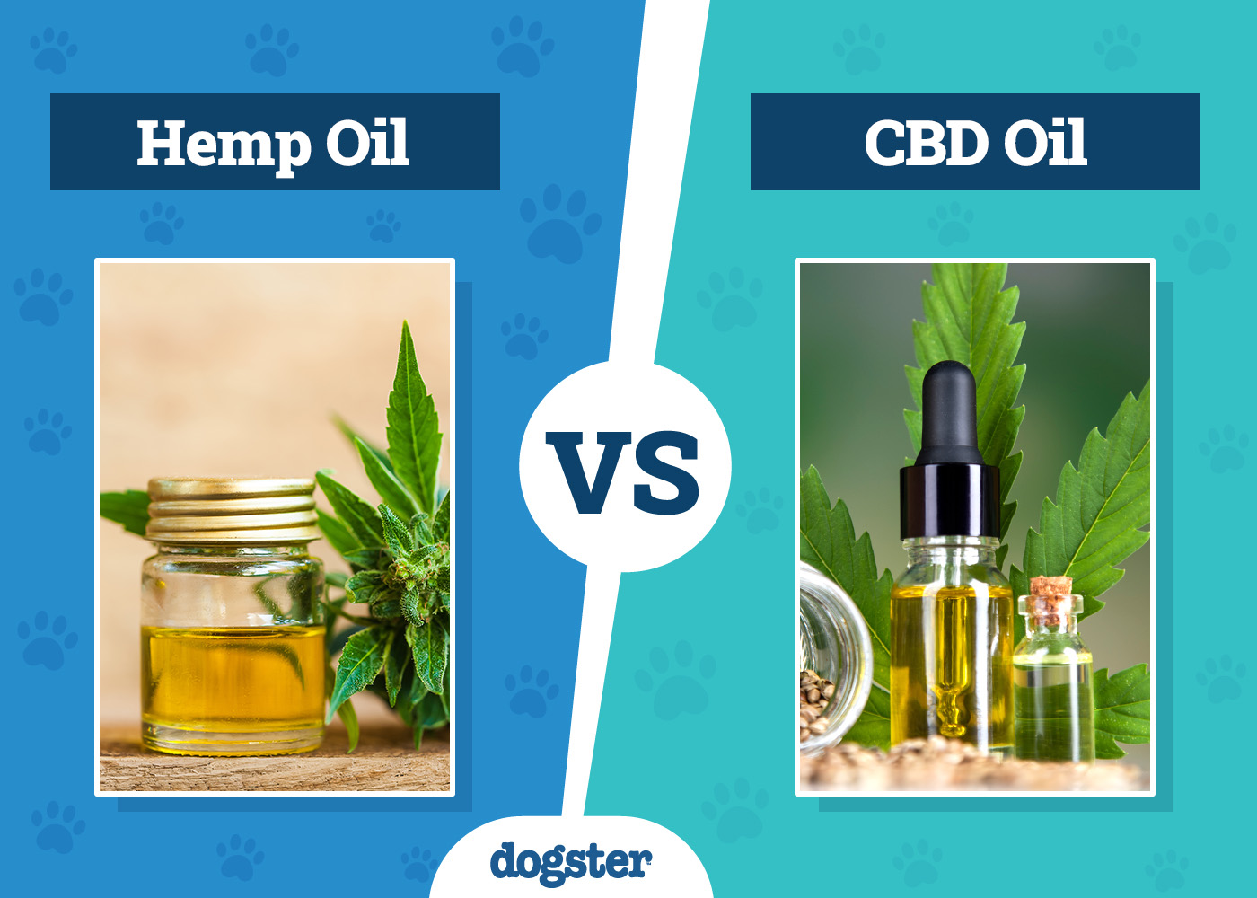 Hemp Oil vs CBD Oil For Dogs: Vet-Reviewed Differences