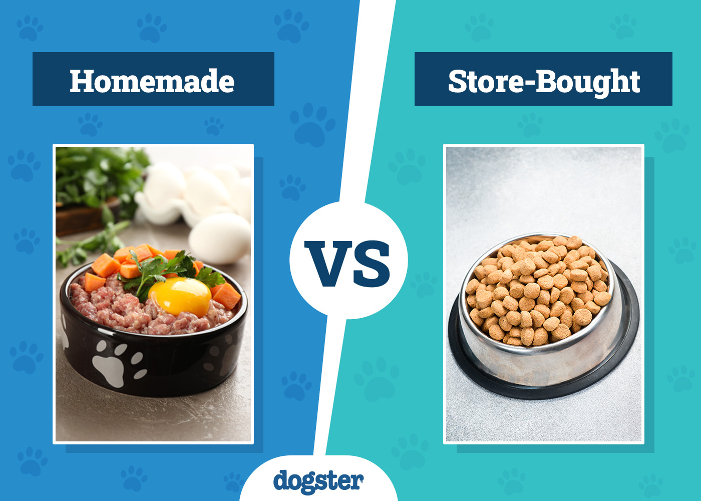 Homemade Dog Food vs Store-Bought: Vet-Verified Pros & Cons