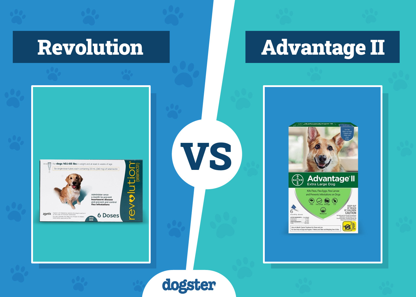 Revolution vs Advantage II Flea Treatment 2026 Comparison (Vet Answer)