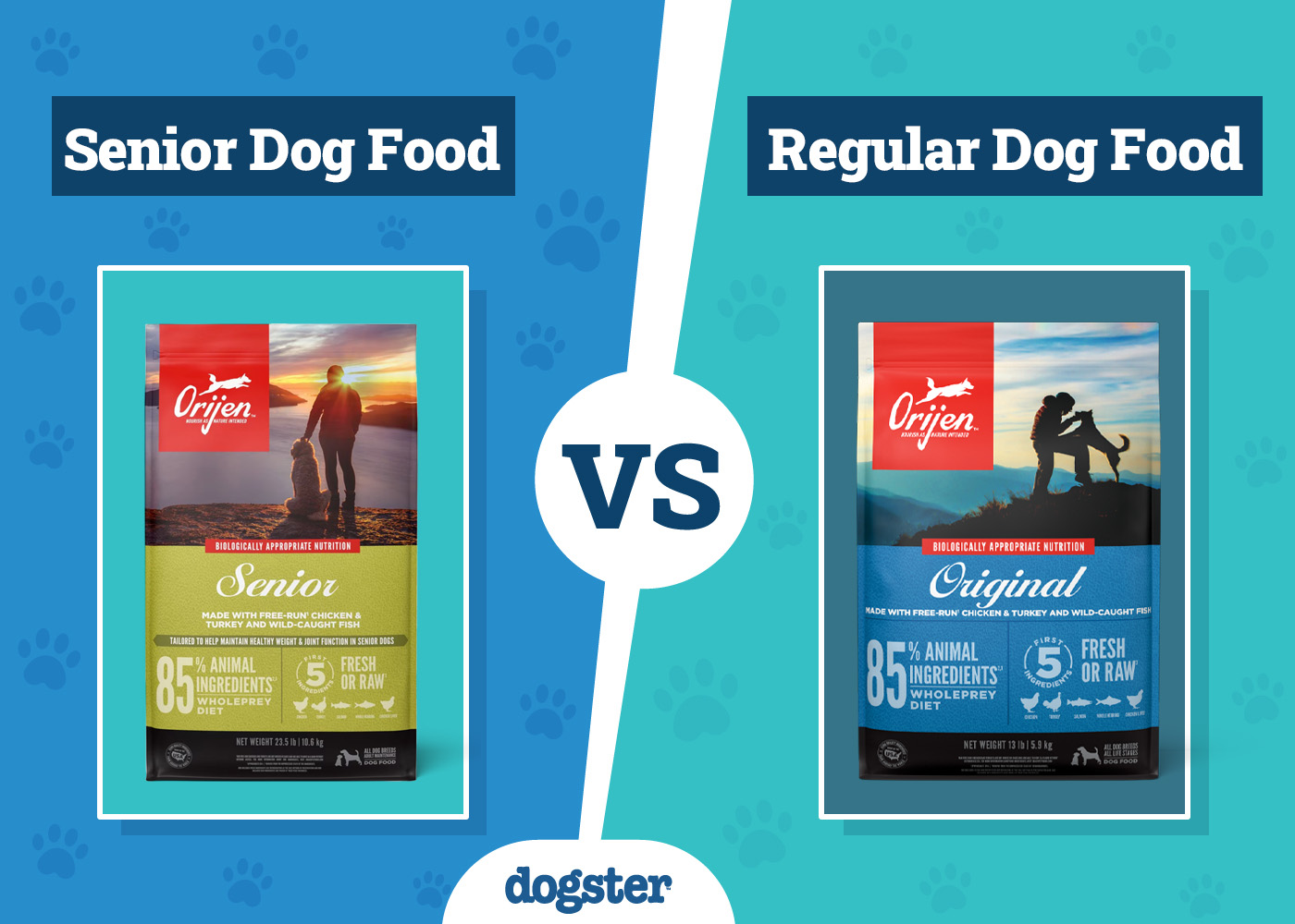 Senior Dog Food vs Regular: The Differences, Pros & Cons