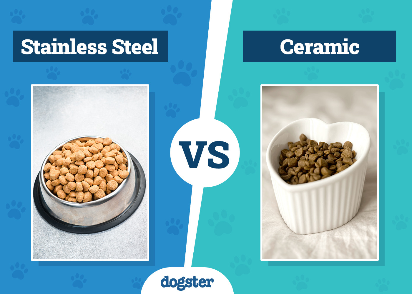 Stainless Steel vs Ceramic Dog Bowls: Which Is Right for Your Needs?