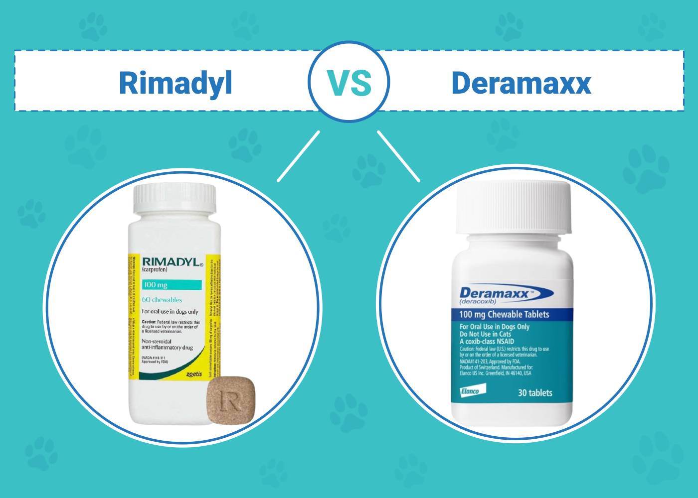 Rimadyl vs Deramaxx For Dogs: Our Vet Explains Safety, Usage & Which to Choose