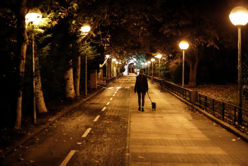 Should I Walk My Dog at Night? Vet-Reviewed Reasons & Safety Tips