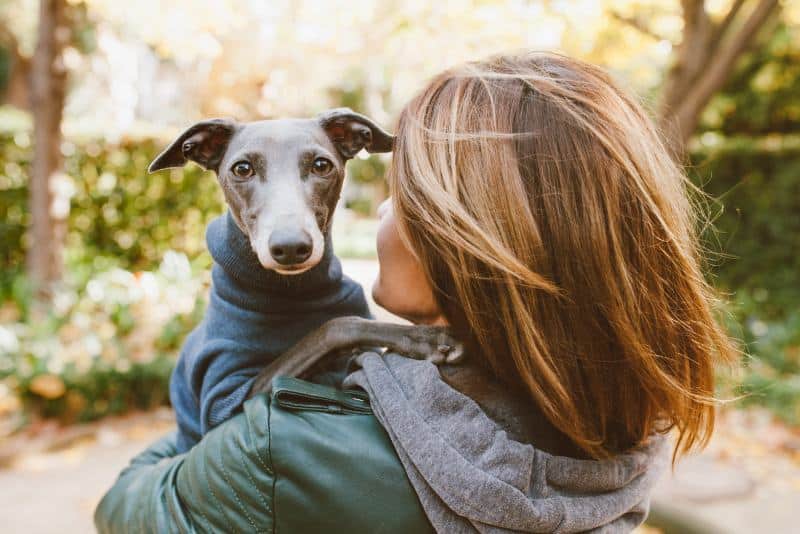 10 Life Lessons We Can Learn From Dogs You'll Love to Learn