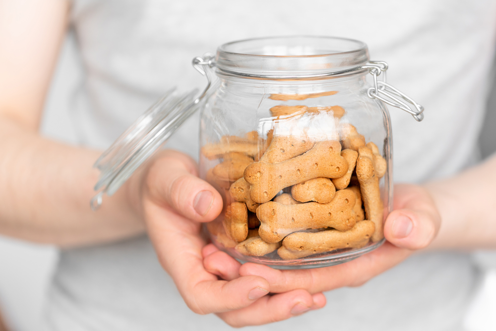 10 Best Dog Treats Containers in 2026 – Reviews & Top Picks