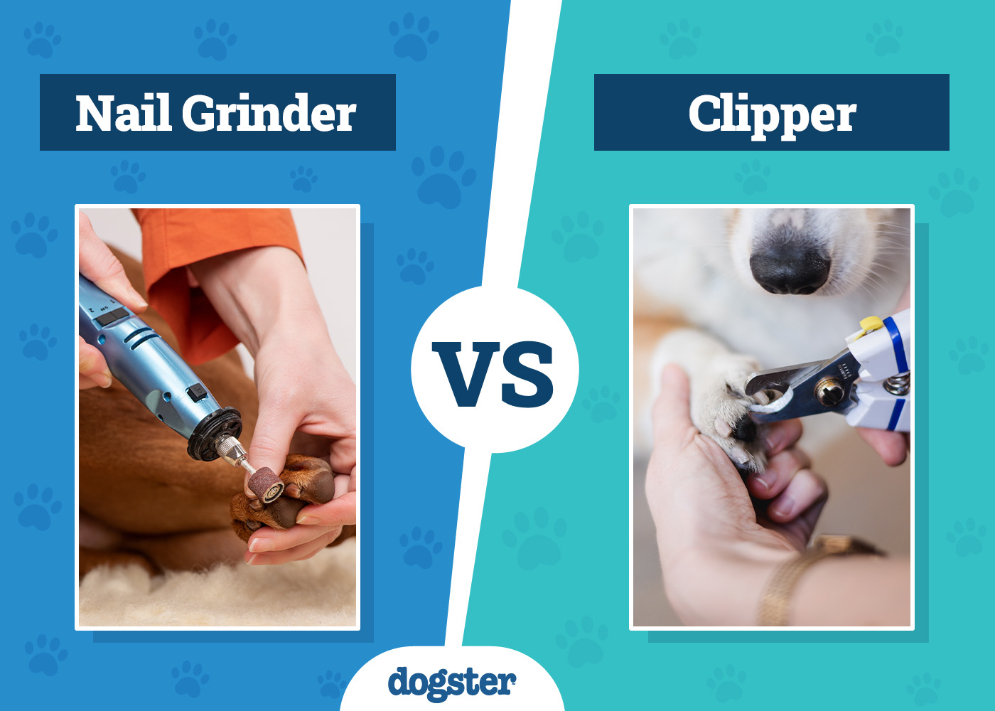 Dog Nail Grinder vs. Clipper: Which Is Better? 2026 Comparison Guide