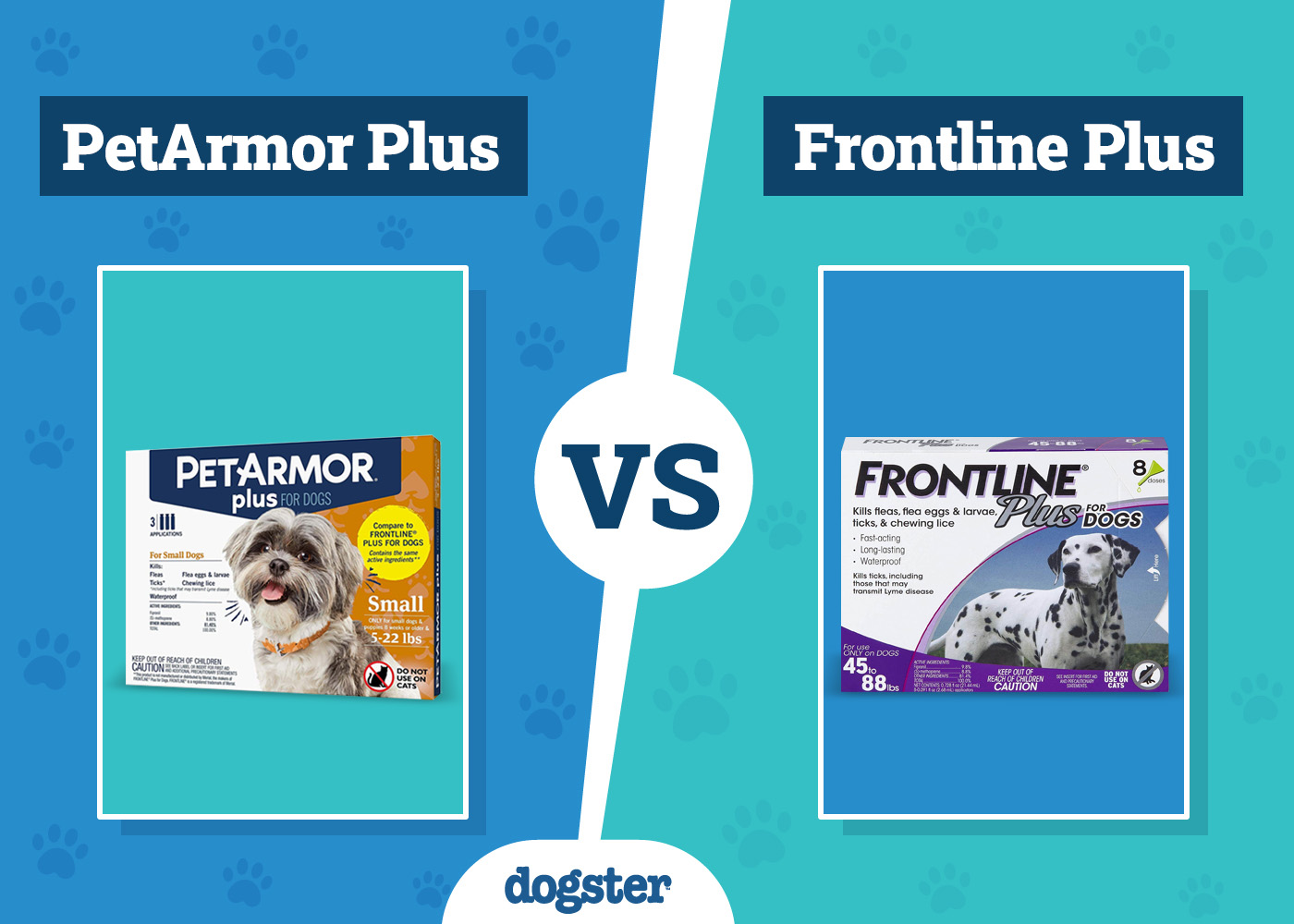 PetArmor Plus vs Frontline Plus Flea Treatment: The Differences (Vet Answer)