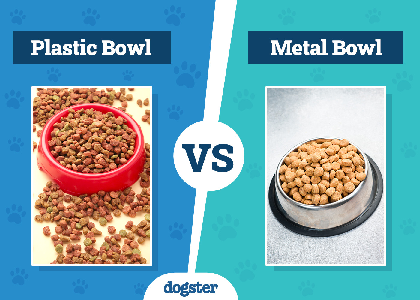 Plastic vs Metal Dog Bowls: Which Is Right for Your Needs?