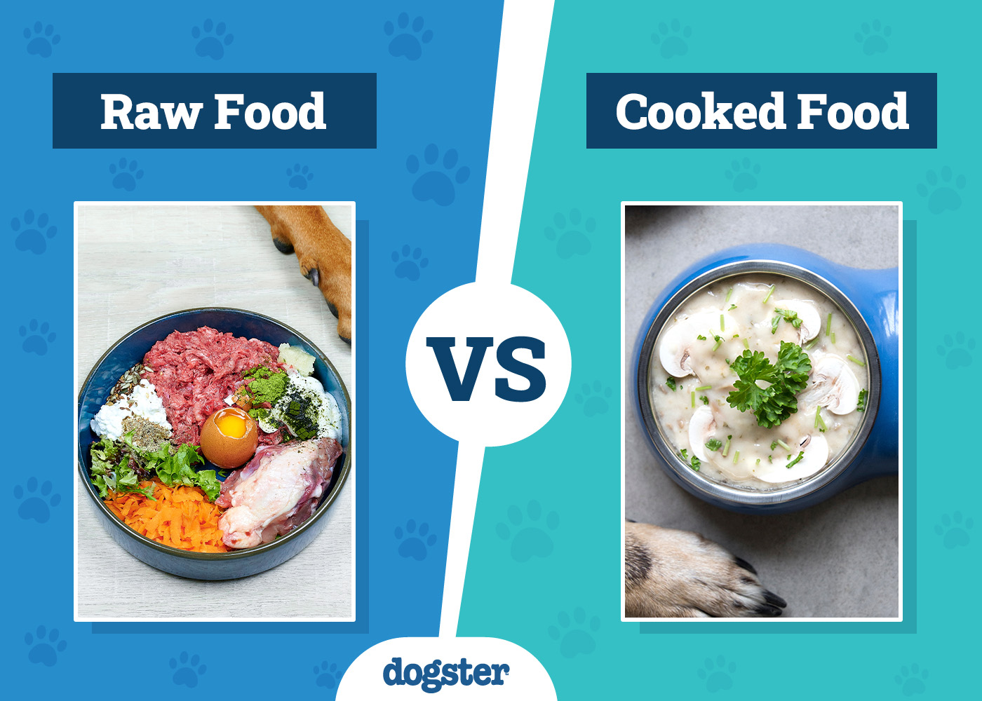 Raw vs Cooked Dog Food: Vet-Reviewed Pros, Cons & What to Choose