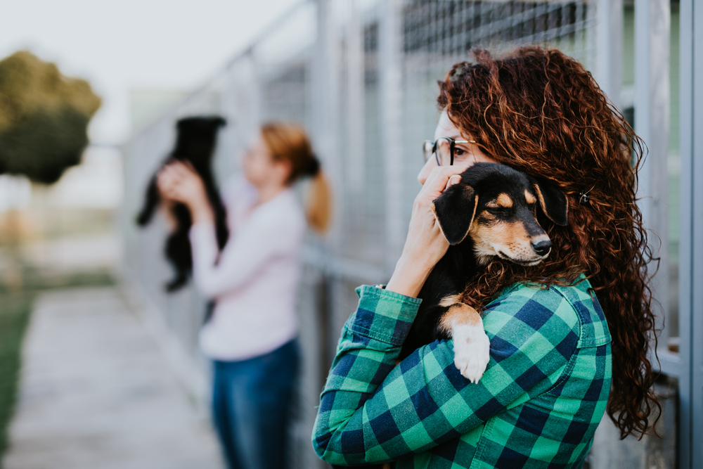 14 Organizations That Help With Vet Bills (2026 Update)
