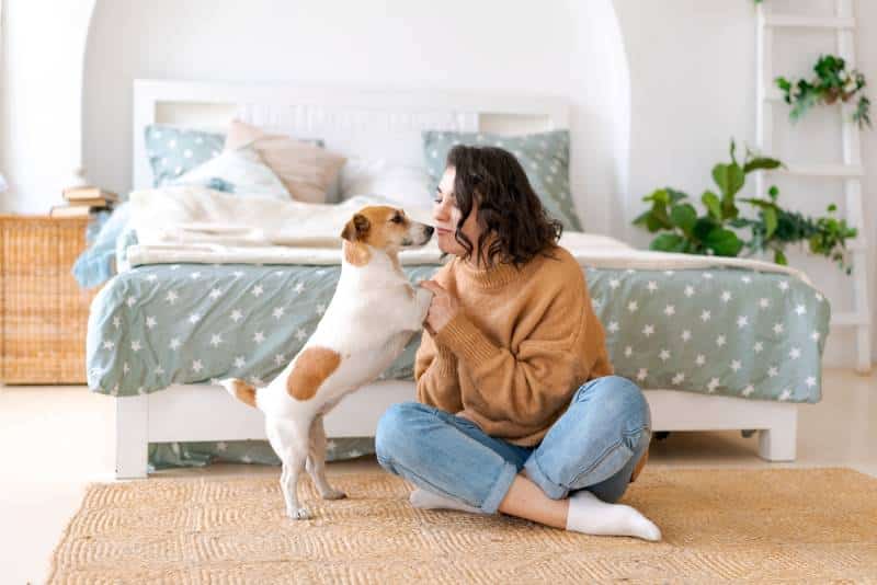 Do Dogs Know When You’re Having Intercourse? Facts & Explanation