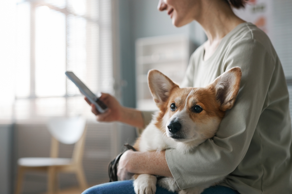 10 Most Popular Vet Apps for Your Pet (2026 Update)