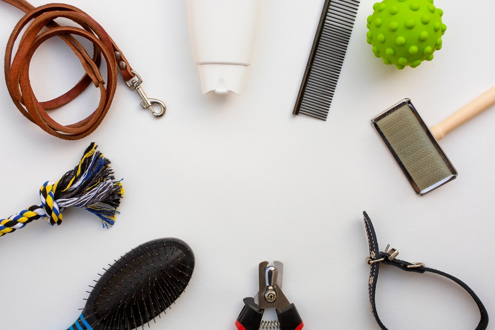Dog care accessories on white background