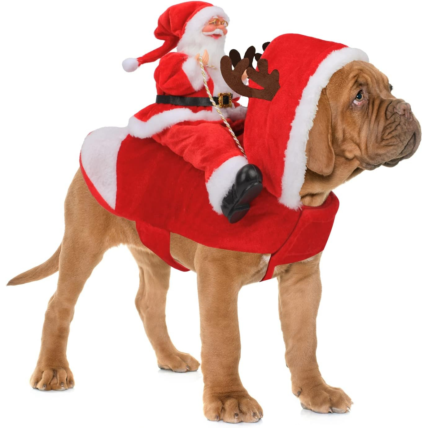 Santa Dog Costume