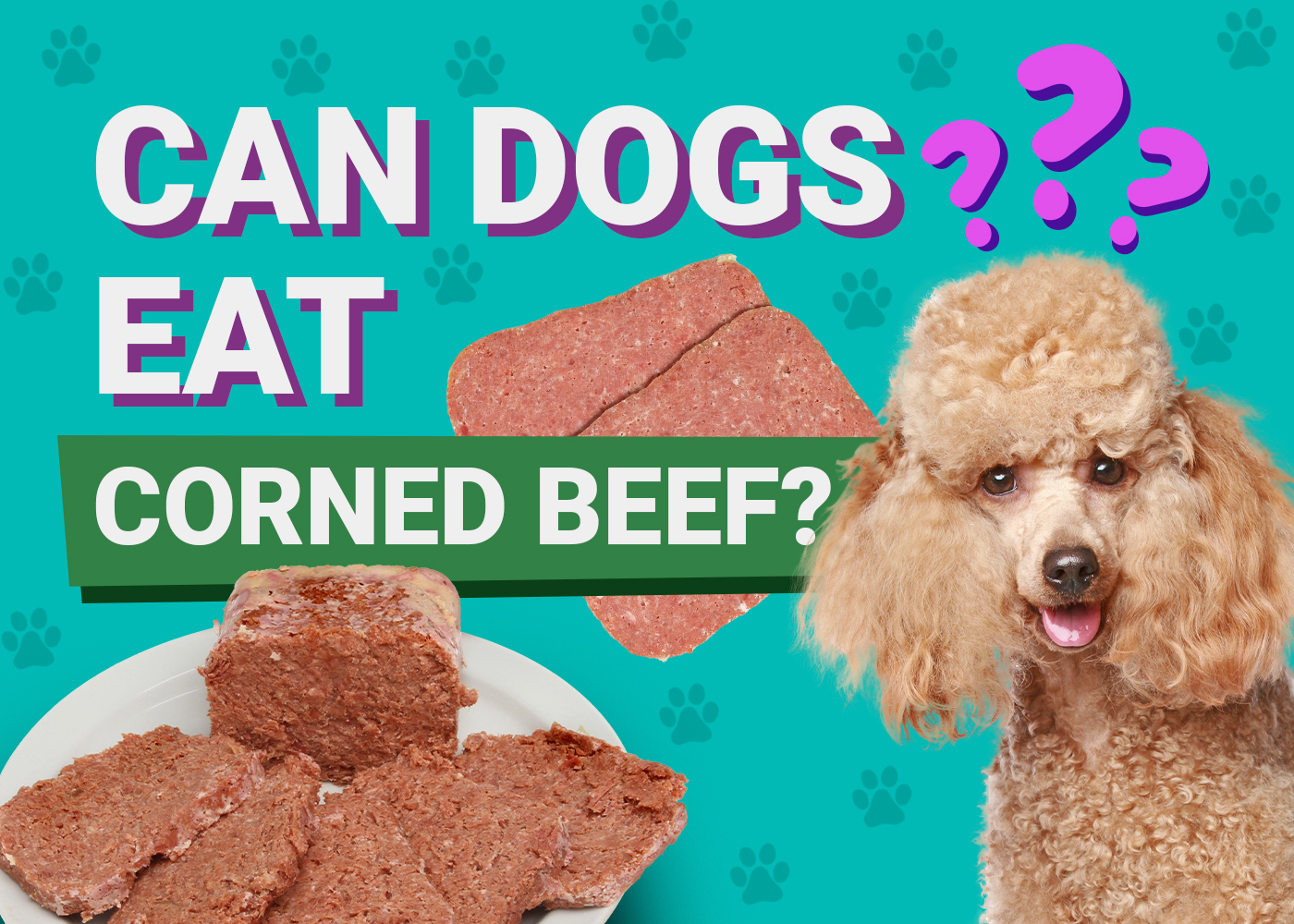 Can Dogs Eat Corned Beef? Vet-Verified Safety & Nutrition Facts
