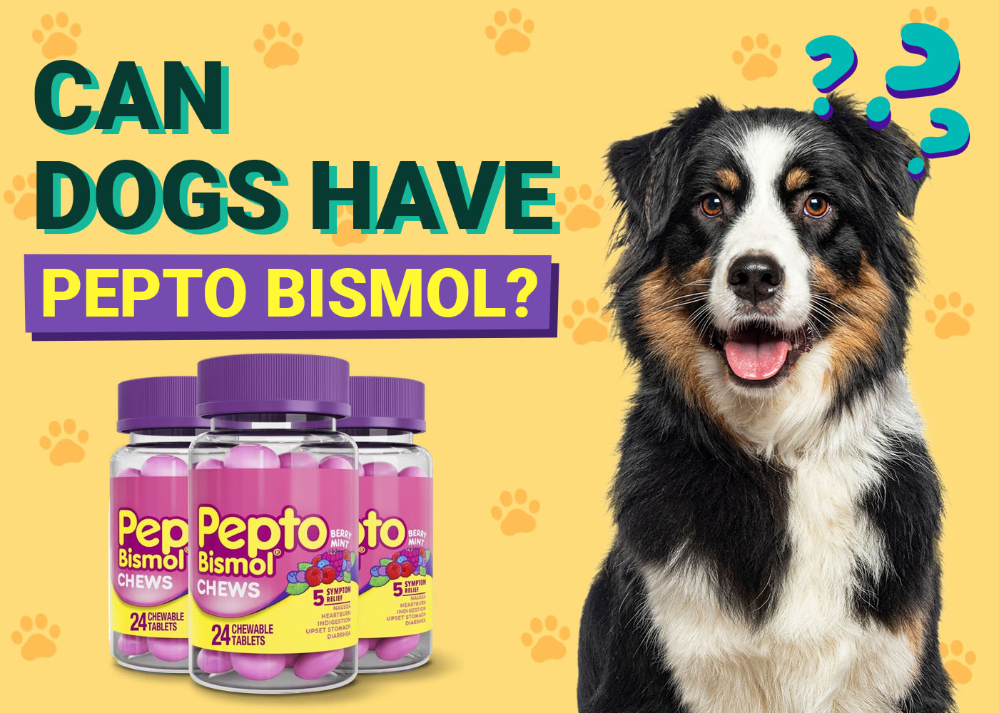 Can Dogs Have Pepto Bismol? Our Vet Explains Its Uses, Side Effects & Risks