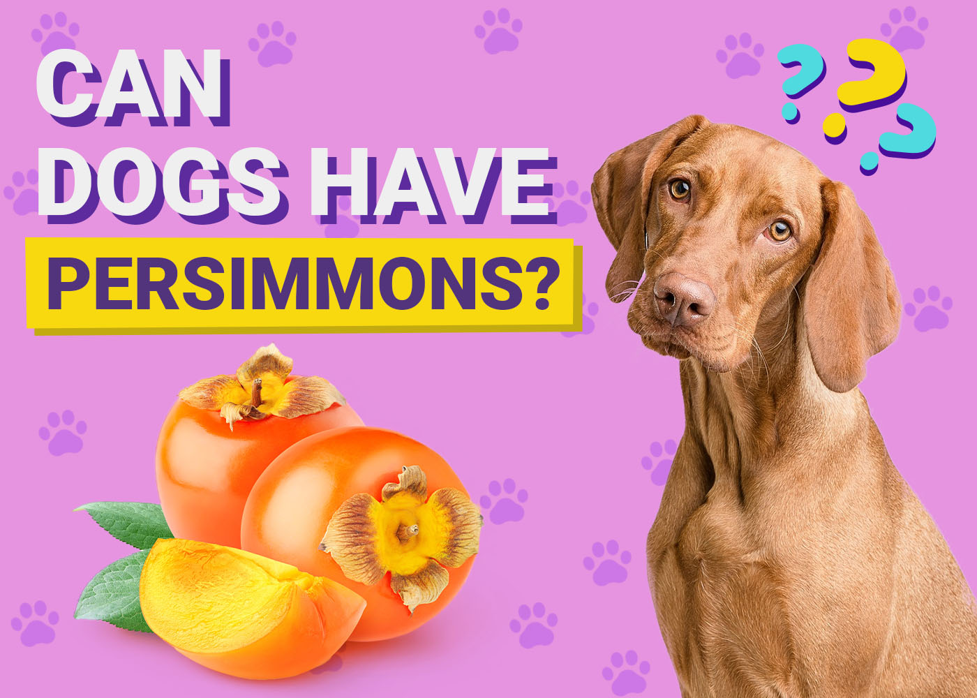 Can Dogs Have Persimmons? Vet-Verified Nutrition Facts & FAQ