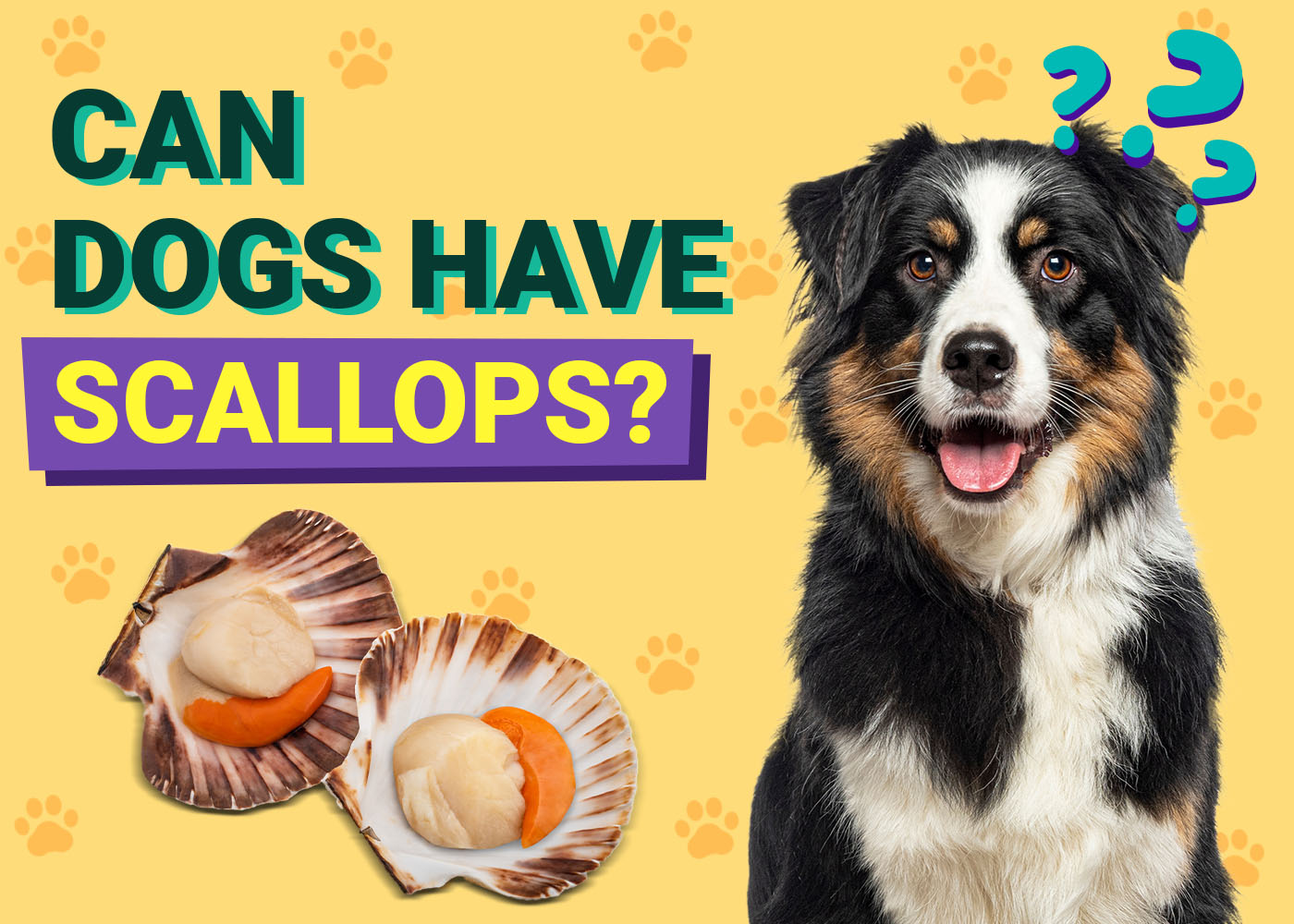 Can Dogs Have Scallops? Vet-Verified Nutrition Facts & FAQ