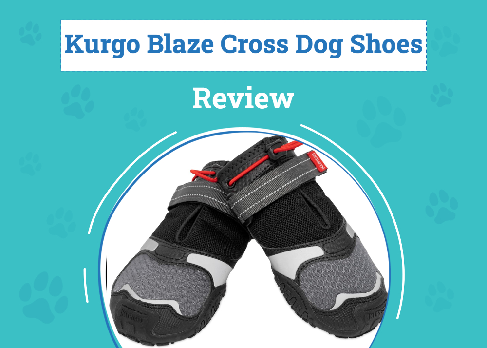 Kurgo Blaze Cross Dog Shoes Review 2026: Pros, Cons & Verdict