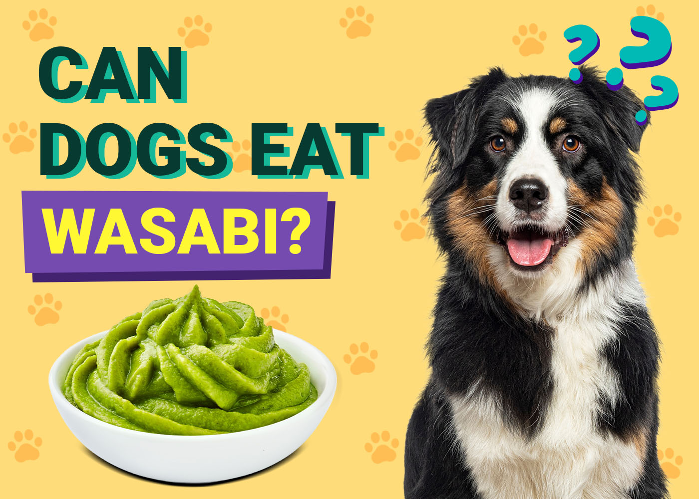 Can Dogs Eat Wasabi? Vet-Verified Nutrition Facts & FAQ