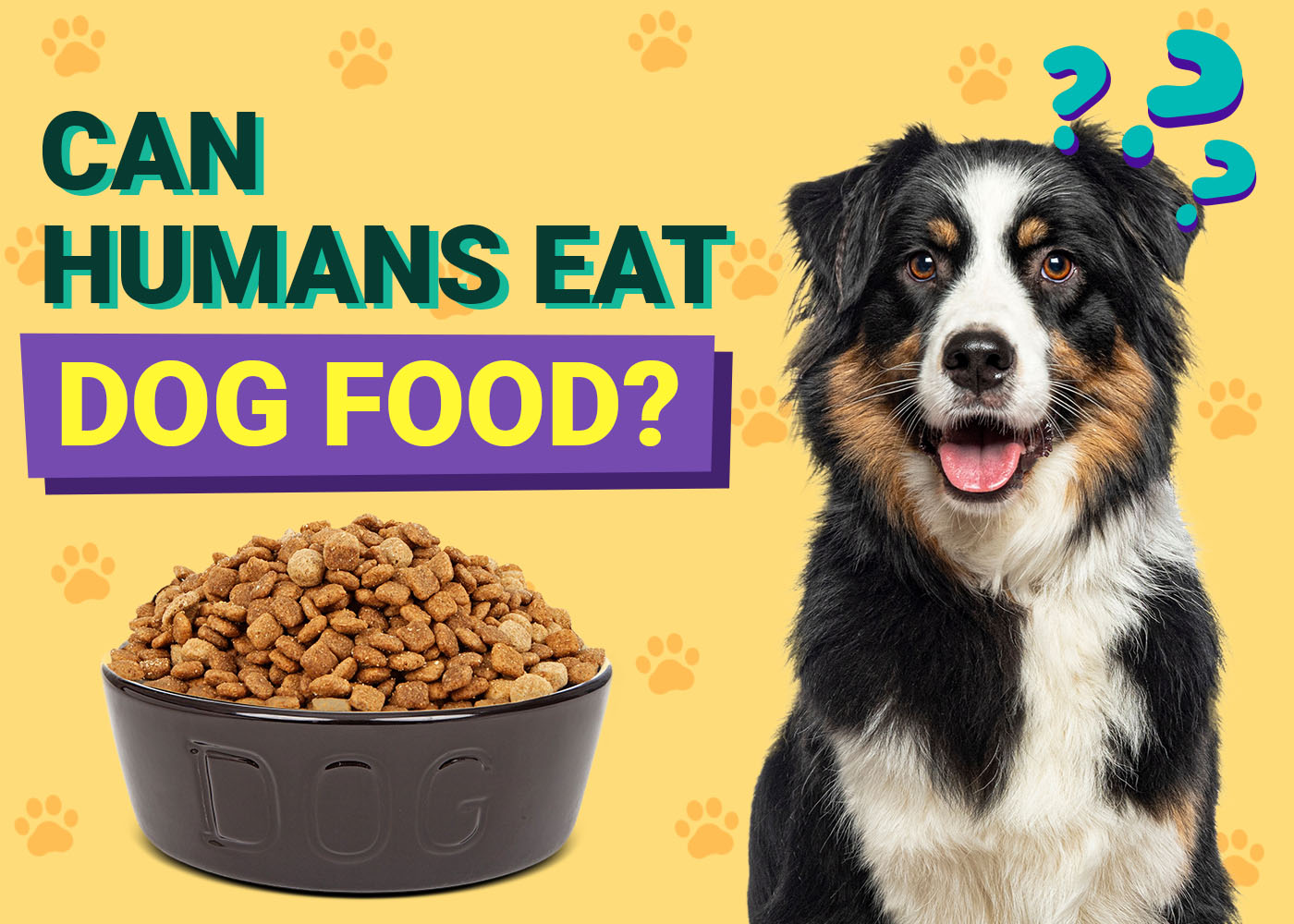 Can a Human Eat Dog Food? Vet-Approved Facts & FAQ